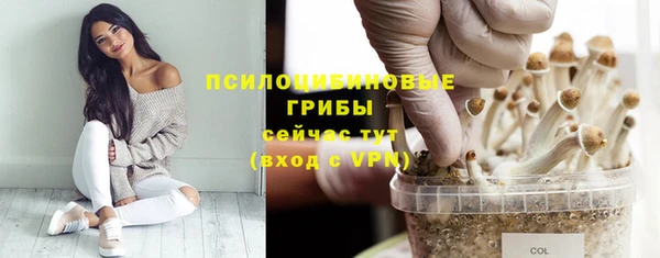 тгк Алексеевка
