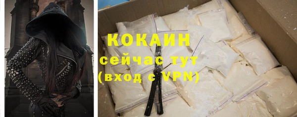дживик Абаза