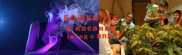 дживик Абаза