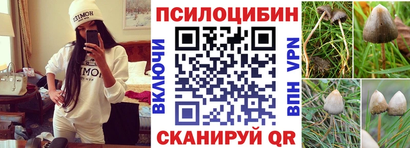 Галлюциногенные грибы Psilocybine cubensis  shop какой сайт  Нижнекамск 